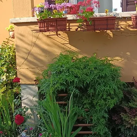 Apartamento Casa Fiori E Verbania